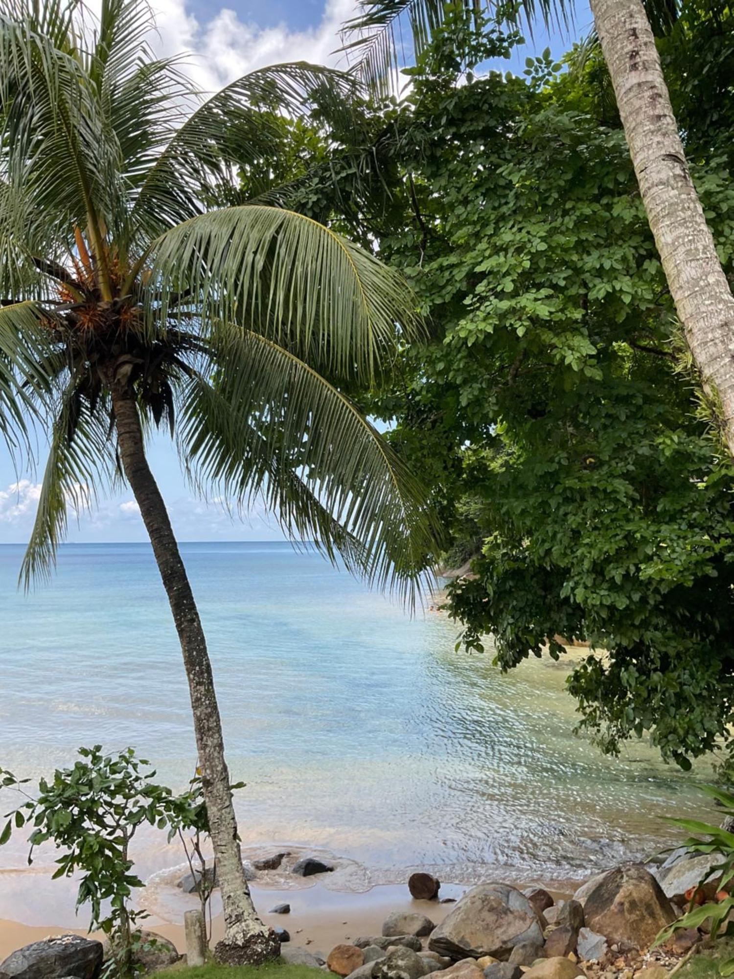 Abc Chalet Tioman Kampong Ayer Batang ภายนอก รูปภาพ