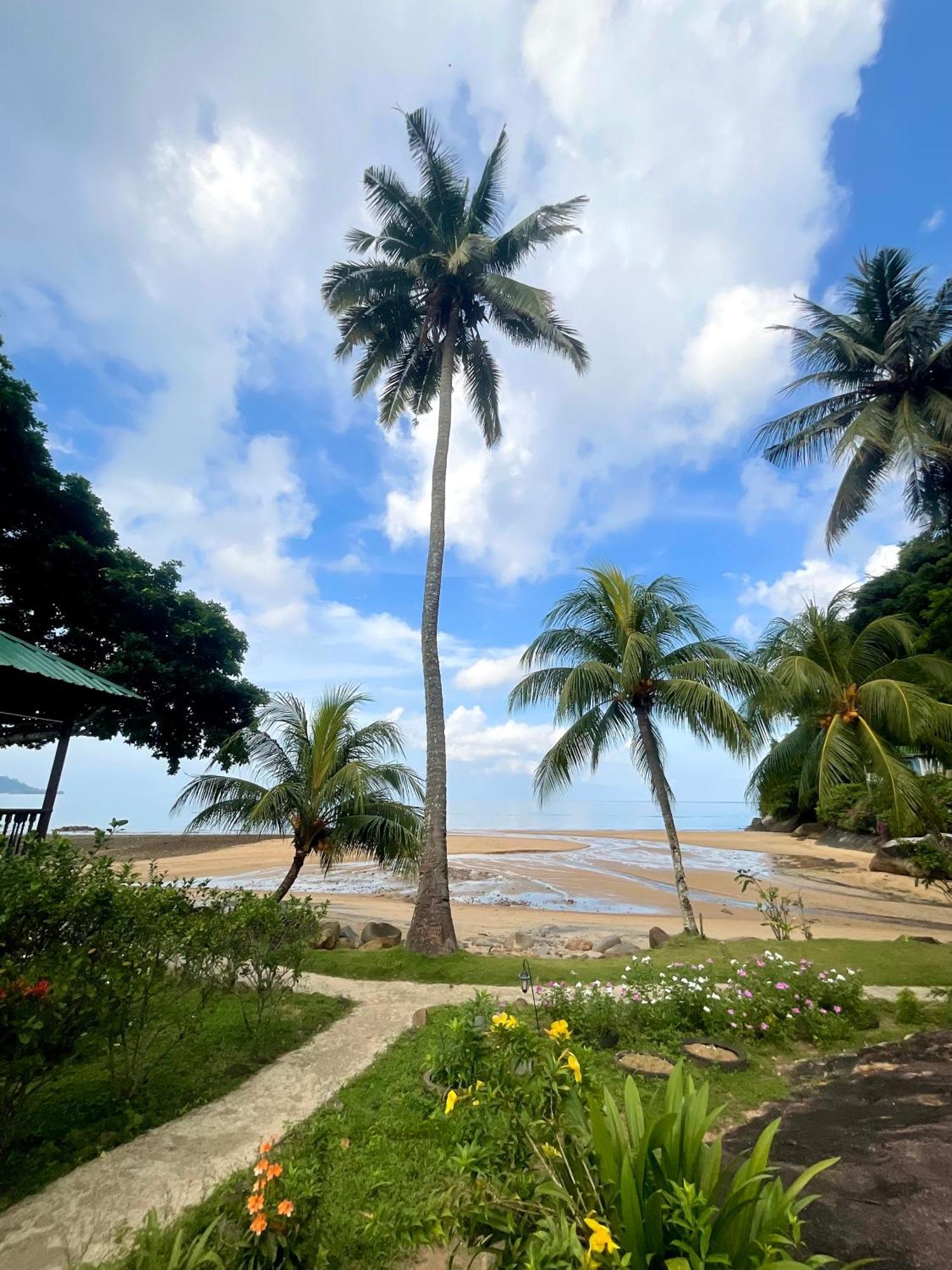 Abc Chalet Tioman Kampong Ayer Batang ภายนอก รูปภาพ