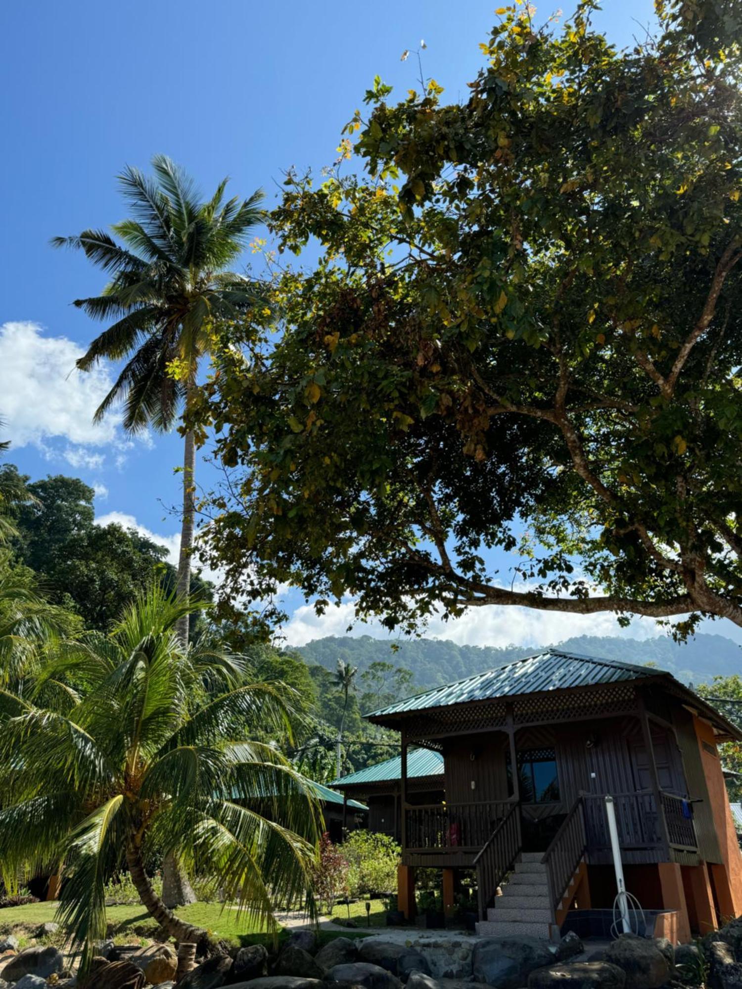 Abc Chalet Tioman Kampong Ayer Batang ภายนอก รูปภาพ